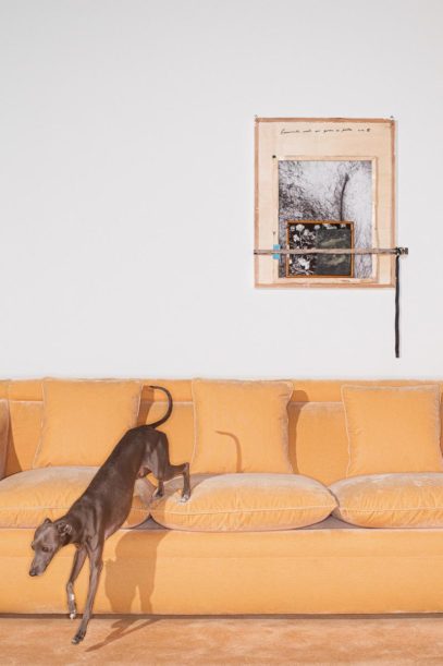 Rubelli collectie spring 2024